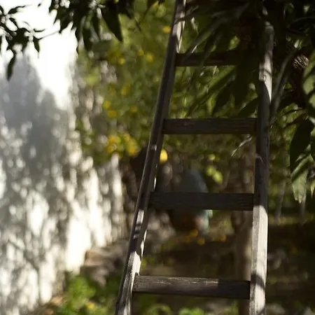 Boutique I Cinque Balconi Hotell Santa Marina Salina